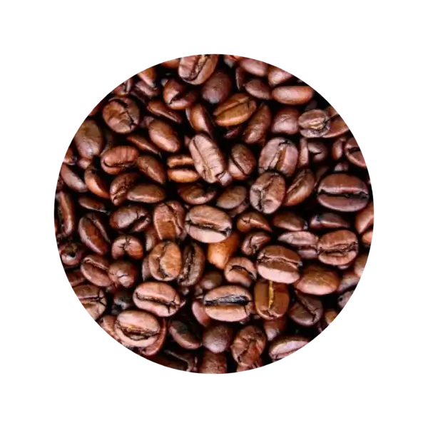 Premium Coffee Beans – Light Roast – International Distribution Trading Co.